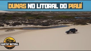 DELTA DO PARNAÍBA  UM PARAÍSO NO PIAUÍ EP06 [upl. by Megargee]