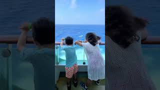 Royal Caribbean Voyager of the Seas Cabin Tour with Verandah Balcony Room [upl. by Hermes152]