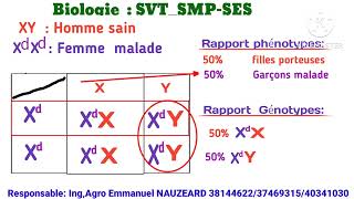 Texte modèle Biologie SVTSMPSES Daltonisme 2024 [upl. by Jacintha945]