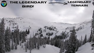 Skiing The LEGENDARY SNOWBIRD Resort  what Makes Snowbird Snowbird The BIRD [upl. by Siwel]