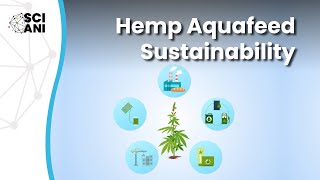 Is hemp protein a sustainable alternative for aquafeed [upl. by Niamrahc537]