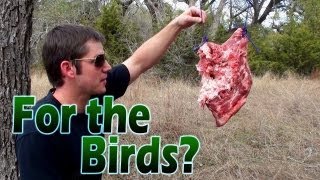 Bird Shot vs Meat Home Defense Shotgun [upl. by Ruella]