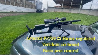 Artemis PP750 22 Huma regulated Veridium air tuned farm pest control [upl. by Eseila]