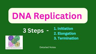 DNA ReplicationInitiationElongationTerminationProkaryotesEukaryotesSemiconservativeTelomerase [upl. by Alidia]