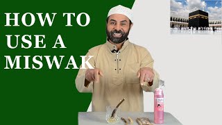 How to Use a Miswak [upl. by Ayardna]