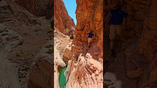 Naukluft Hike quotOlive Trailquot  die Meisten fahren am Naukluft Nationalpark vorbei WIR nicht [upl. by Adnaloy]