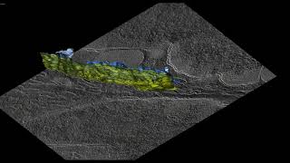 Electron tomography of macrophagemyoblast contacts [upl. by Artur]