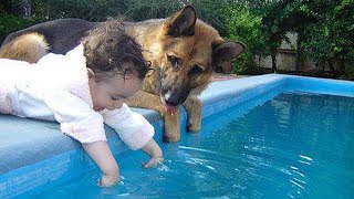 When your dog becomes the trusted nanny  Cute Moments Dog and Human [upl. by Canale]