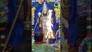 2692024 Dwarkadhish Live Darshan  Shringar Aarti  Dwarka Mandir  द्वारका लाइव  द्वारकाधीश [upl. by Malcom]