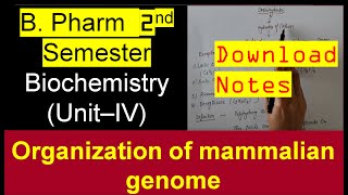 69 Part 22 Organization of mammalian genome Nucleic acid metabolism [upl. by Assener]