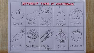 Different types of Vegetables drawing easy How to draw 10 different types vegetables Easy drawing [upl. by Flosi]