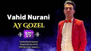 Vahid Nurani  Ay Gozel Derdinden daglari daslari gezerem ay gozel [upl. by Gregoire]