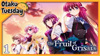 Who Are We  The Fruit of Grisaia  Episode 1 [upl. by Annasor673]