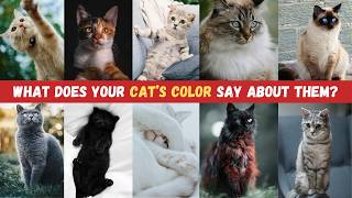 What Your Cat’s Fur Color Reveals About Their Personality Uncover the Secrets [upl. by Ahsehat]