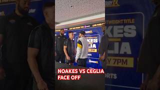 NOAKES VS CEGLIA FACE OFF noakesceglia queensberrypromotions [upl. by Ennirak]