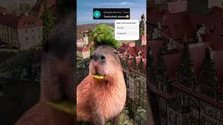 Capybara Praha Republic Czech 🇨🇿 [upl. by Daus441]