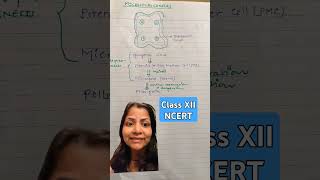 Process of microsporogenesis ncertsolutions biology NEET classxii plantphysio youtubeshorts [upl. by Ahgiela]