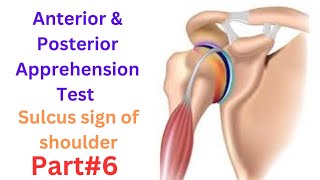 Shoulder dislocation types Anterior amp Posterior Apprehension tests Sulcus sign of shoulder [upl. by Aenea497]