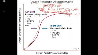 Oxygen hemoglobin Dissociation Curve NEETPG2025 aiimsstudy motivation FMGE inicet2023 HPSSC [upl. by Alphonsine475]