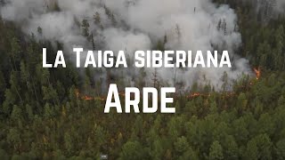 Arde la taiga siberiana [upl. by Cyndi345]