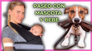 ¡Listos para el Paseo Tips Esenciales para Mamás y Papás con Mascotas [upl. by Ause]