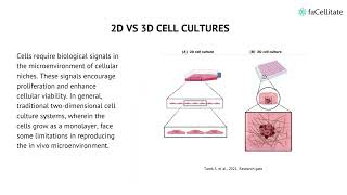 Spheroids and three dimensional stem cell cultures [upl. by Anilam]