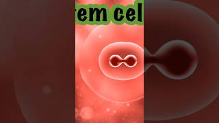 Blood cells facts ytshortsindia science bloodcells [upl. by Borreri]