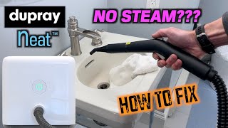 Dupray NEAT Steam Cleaner  NO STEAM or SPRAY Solved [upl. by Yerocaj]