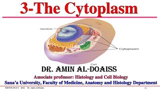 Histology Lecture4  The cytoplsm amp cytoplasmic organelles [upl. by Kehr216]