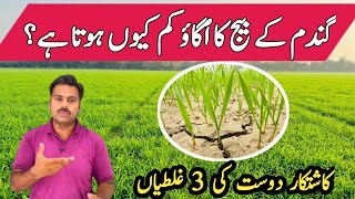 Factors affecting wheat seed germination  Germination issue in wheat sowing  Abid Ali Agrarian [upl. by Ennaeed]