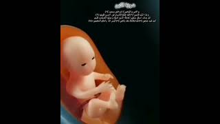 Quran surah Alteen By Paradise world yt short [upl. by Ahsenad231]