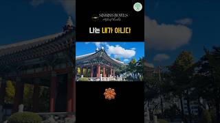 나는 내가 아니다  싱잉볼명상  힐링음악  마음치유  용두산공원 [upl. by Bruckner]