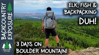 Incredible Backpacking And Trout Fishing  Boulder Mountain Utah [upl. by Luane228]