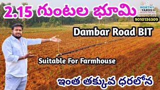 Agriculture Land For Sale  Dambar Road BIT agriculturelands agriculture farmlands realestate [upl. by Reh]