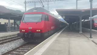 IC8 nach Romanshorn einfahrt in Thun [upl. by Aneelak]