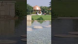 Westin Resort Pushkar  ytreels ytshorts travel pushkar ajmer luxuryhotels india [upl. by Eniliuqcaj429]