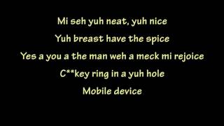 Spice Vybz Kartel  Conjugal Visit Lyrics [upl. by Star]