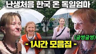 1시간 몰아보기 한국 가더니 수년간 돌아오지 않는 딸 잡으러 한국 온 독일 엄마 처음부터 끝까지 자기 전에 보는 1시간 모음집 [upl. by Nicolais]