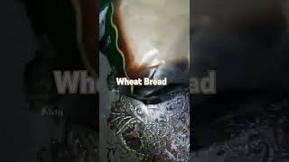 Whole Wheat Bread highlights food subscribe shortvideo [upl. by Avalsorim]