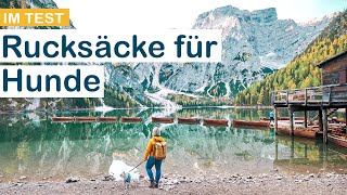 Hunderucksack Rucksack für Hunde 10kg im Test Kurgo vs Dog Carrier [upl. by Nappy]