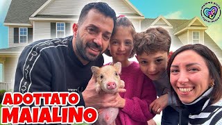 VLOG MAMMAGIULIA HA ADOTTATO UN MAIALINO NANO FIGLIACHIARA E FIGLIODIEGO NON LO SANNO SORPRESA [upl. by Akiehs]