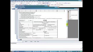 Aveva Design Customziation DataSheet for Valves with Custom Report Manager Version1 [upl. by Irahs]