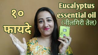 10 BENEFITS OF EUCALYPTUS OILनीलगिरी तेल For Hair Health amp Skin Speaking tree Essential oils [upl. by Alue]