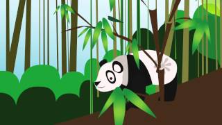 Mimmit  Xiongmao 熊猫 Panda [upl. by Lingwood]