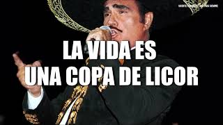 Vicente Fernández  La Vida Es Una Copa De Licor LETRA [upl. by Sedberry]