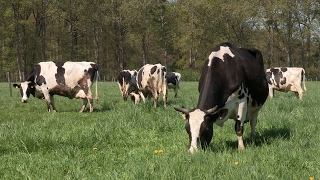 Lagroécologie à la Bergerie nationale [upl. by Anilave]