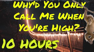 Arctic Monkeys  Whyd You Only Call Me When Youre High 10 HOURS  HD [upl. by Orpha147]