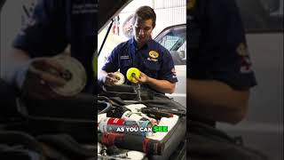 Genuine Toyota vs Aftermarket Fuel Filters The Truth Revealed [upl. by Nealy]