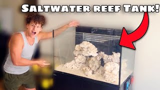 I Bought NEW SALTWATER Aquariums for My FISH ROOM [upl. by Nilrah]