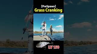 【PreSpawn 01 02】Prespawn Florida Grass Cranking Tips【Lipless Crank】 [upl. by Nylisoj]